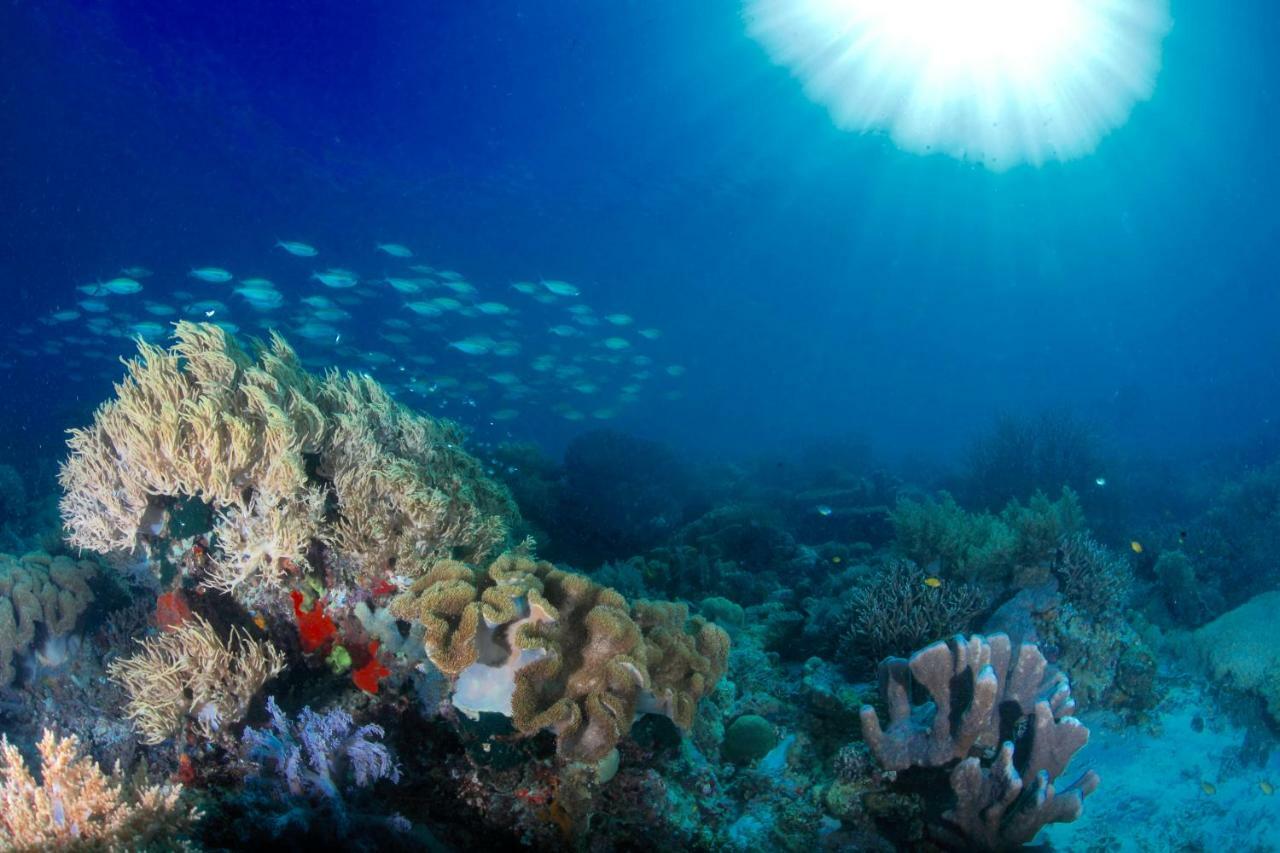 C气泡潜水度假村 C Bubble Diving Resort Dumaguete City Esterno foto